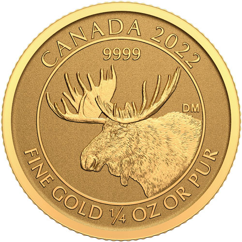 1/4 oz Canadian Gold Moose Reverse Pro