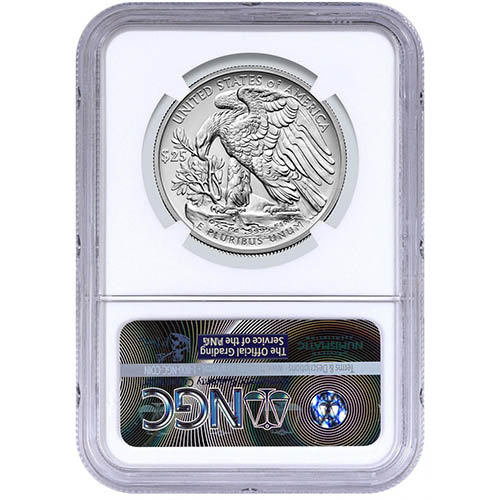 Buy 2017 1 oz American Palladium Eagle Coins NGC MS70 ER (2)