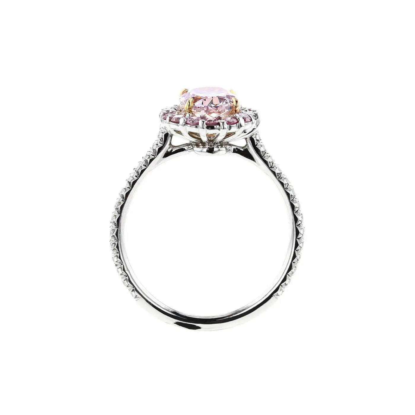 GIA-Certified-Natural-1-Carat-Fancy-Purplish-Pink-Diamond-Halo-Platinum-Ring-3.webp