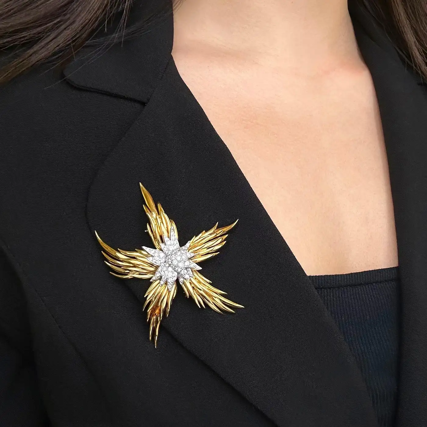 Paris-Flames-Diamond-Brooch-Jean-Schlumberger-for-Tiffany-Co-3.webp